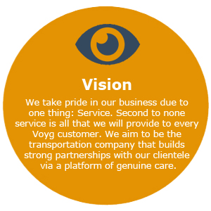 voyg vision